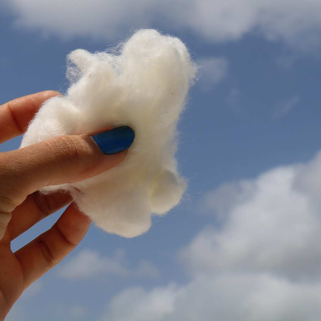 Merino Wool from Australia