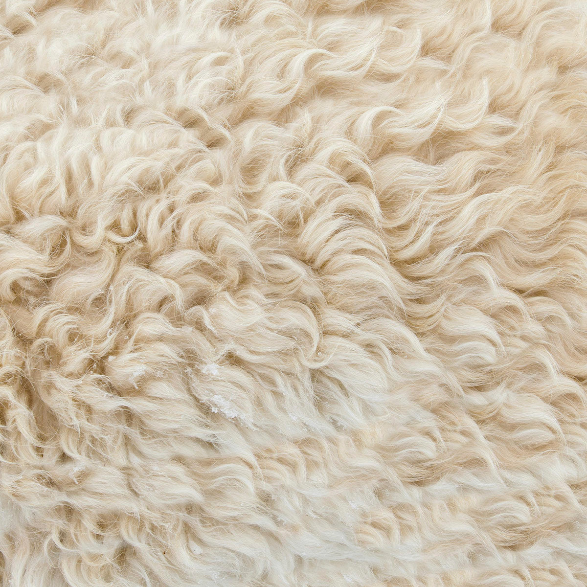 UGG Boots Wool Made in Australia